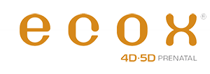 2018 - 2019
